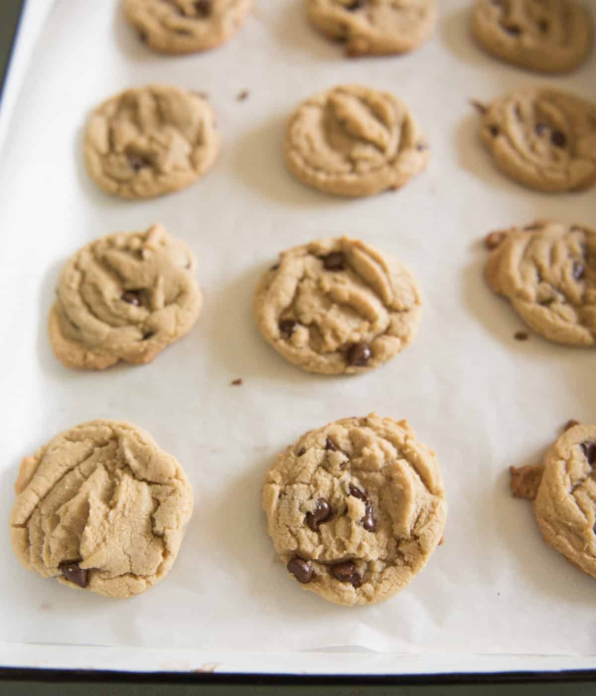 chocolate chip cookies on cookie sheet.