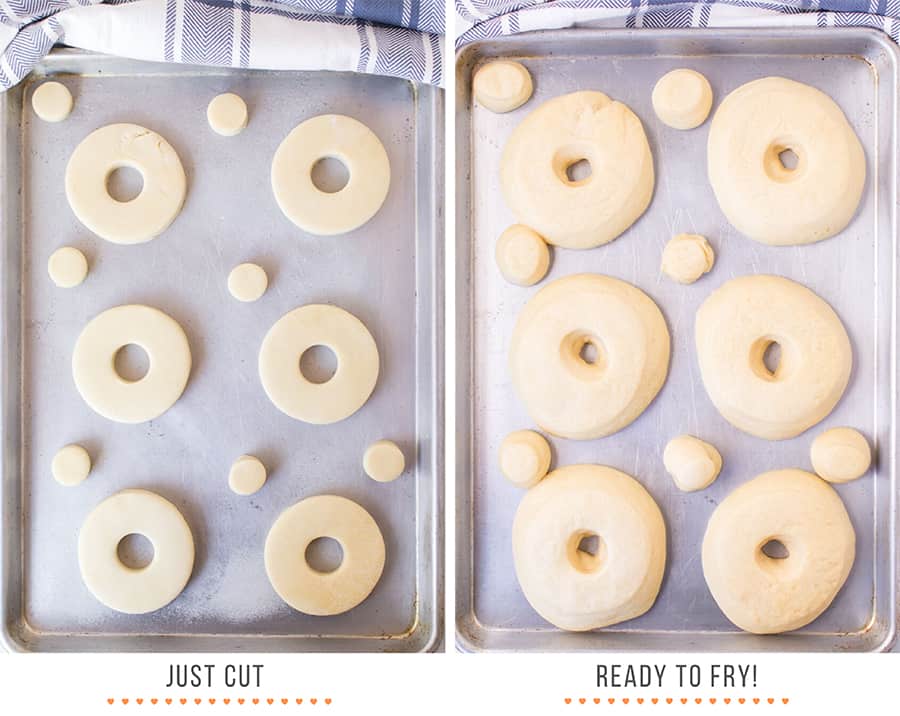 Photo of donuts ready to fry for glazed donut recipe.