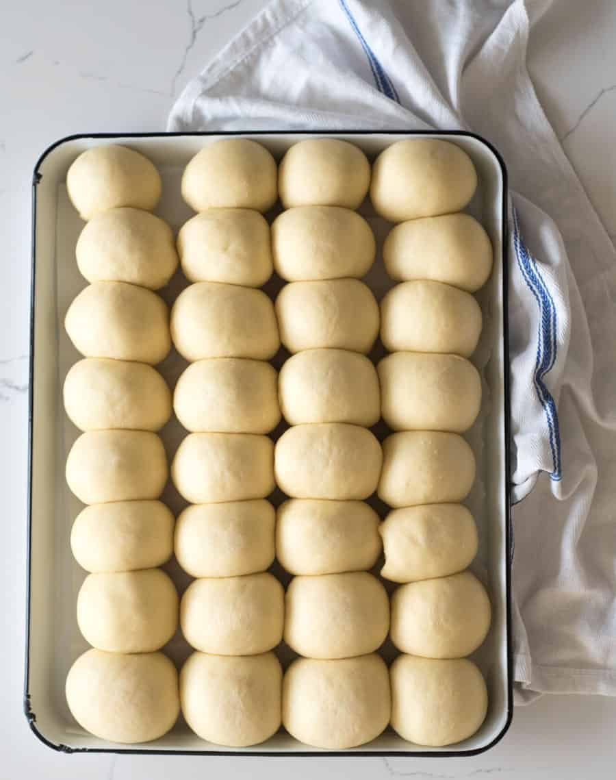 dinner rolls rising in a pan before they go into the oven.