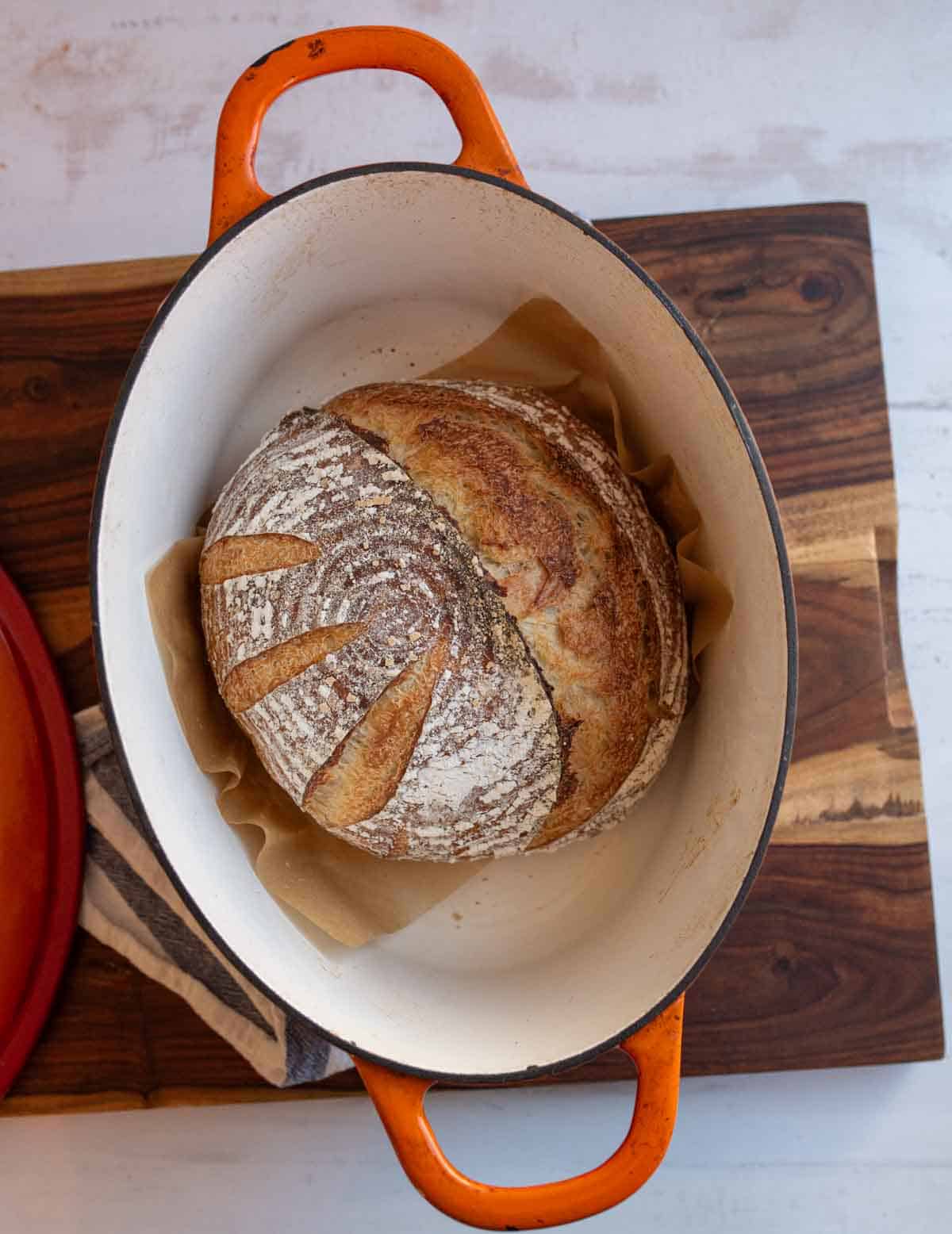 round loaf of no knead sourdough bread in orange dutch oven on brown board.