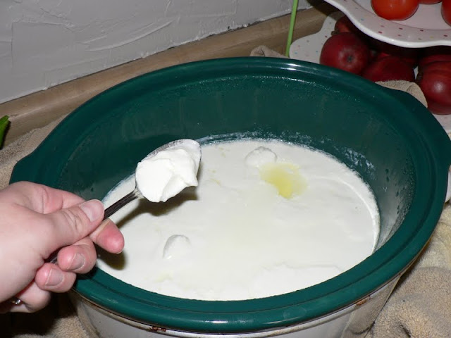 Teal crockpot full of yogurt with a hand spooning some out. 