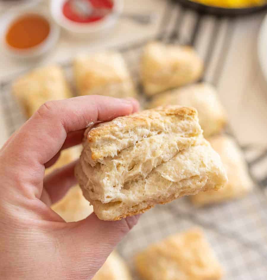 sourdough biscuit in a square.