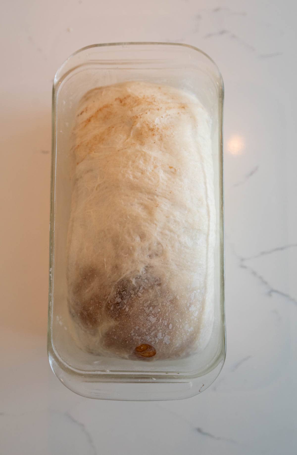 baked loaf of sourdough cinnamon swirl pan in clear bread pan.