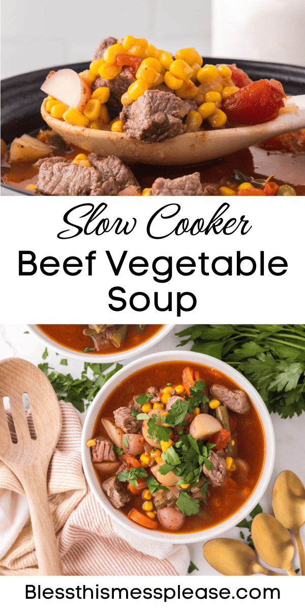 Pinterest pin with text that reads Slow cooker Beef Vegetable Soup.