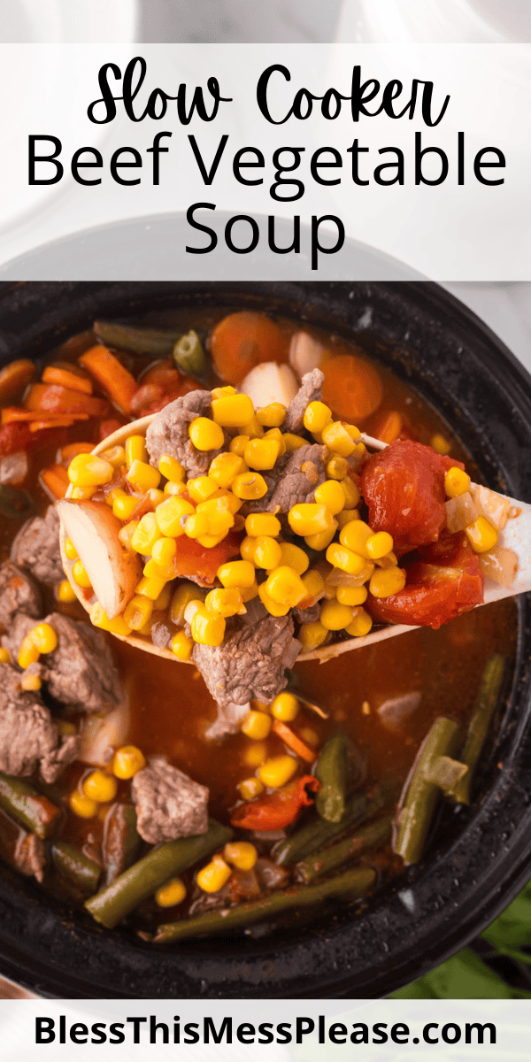 Pinterest pin with text that reads Slow cooker Beef Vegetable Soup.