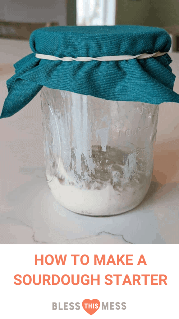 sourdough starter pin